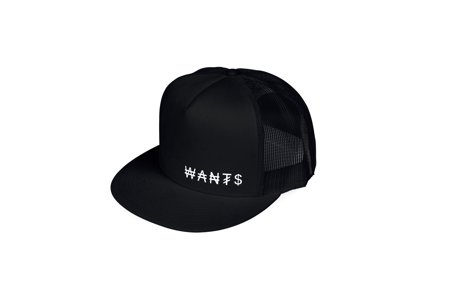 WANTS Hats - Currency